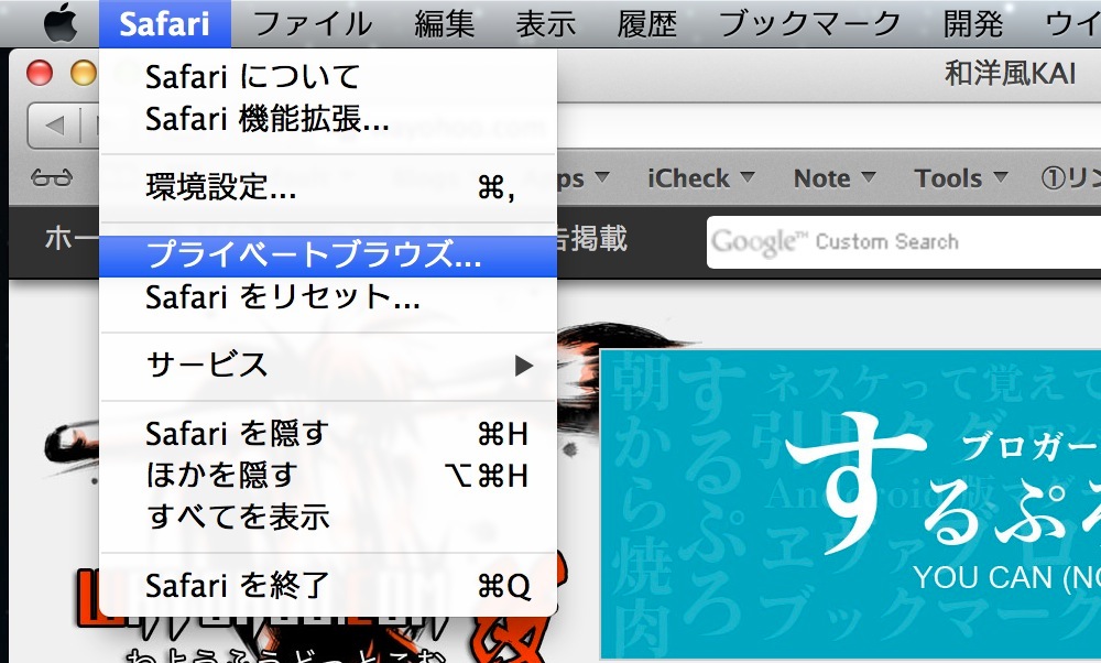 Private browze mode safari 01