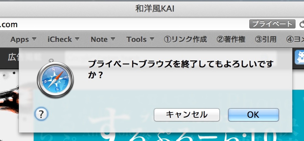 Private browze mode safari 03