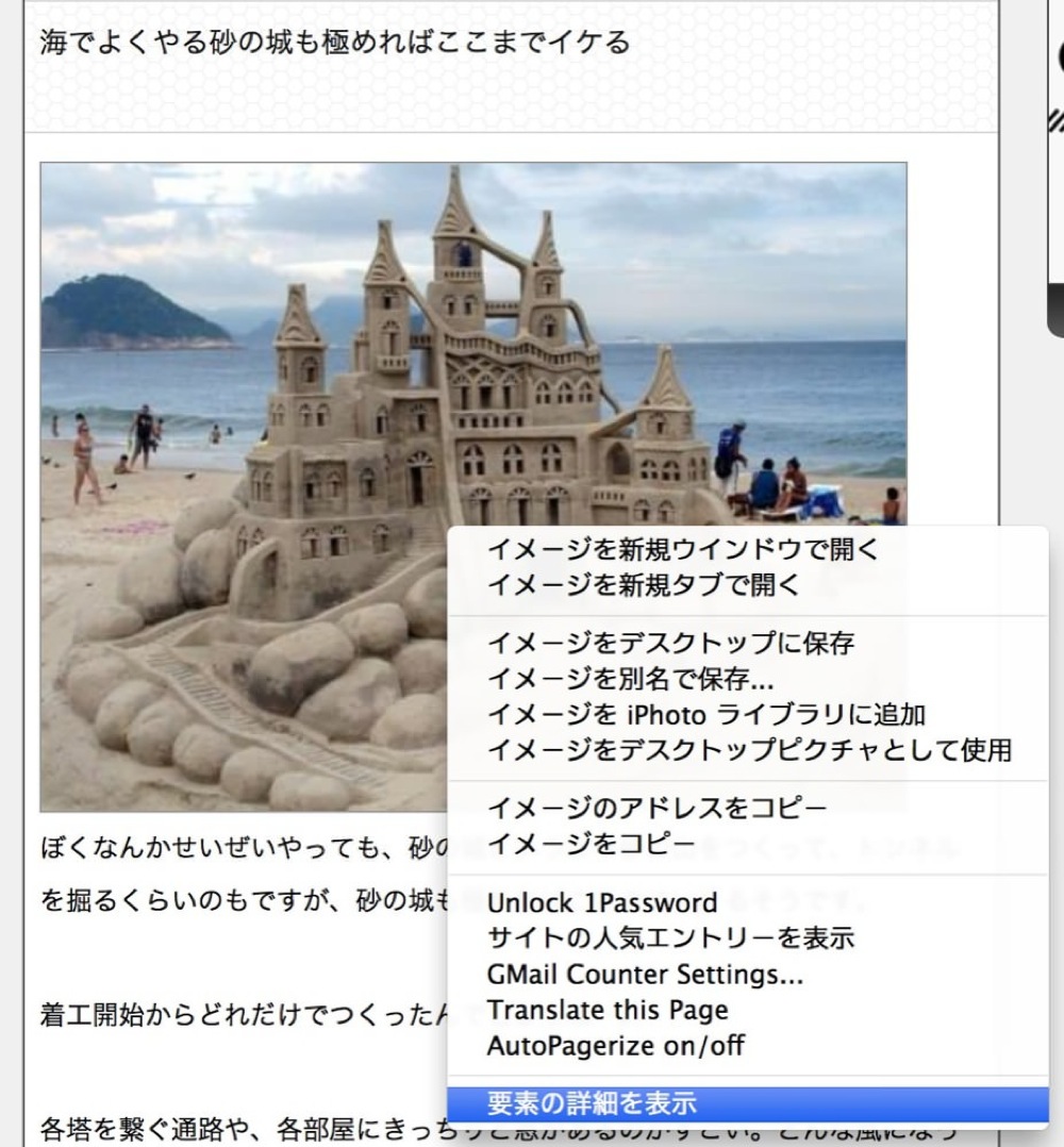 Safari source code view 01