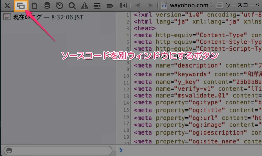 Safari source code view 02