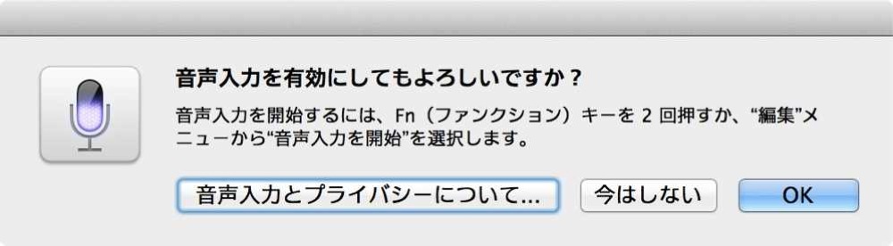 音声入力を有効にしてもよろしいですか?