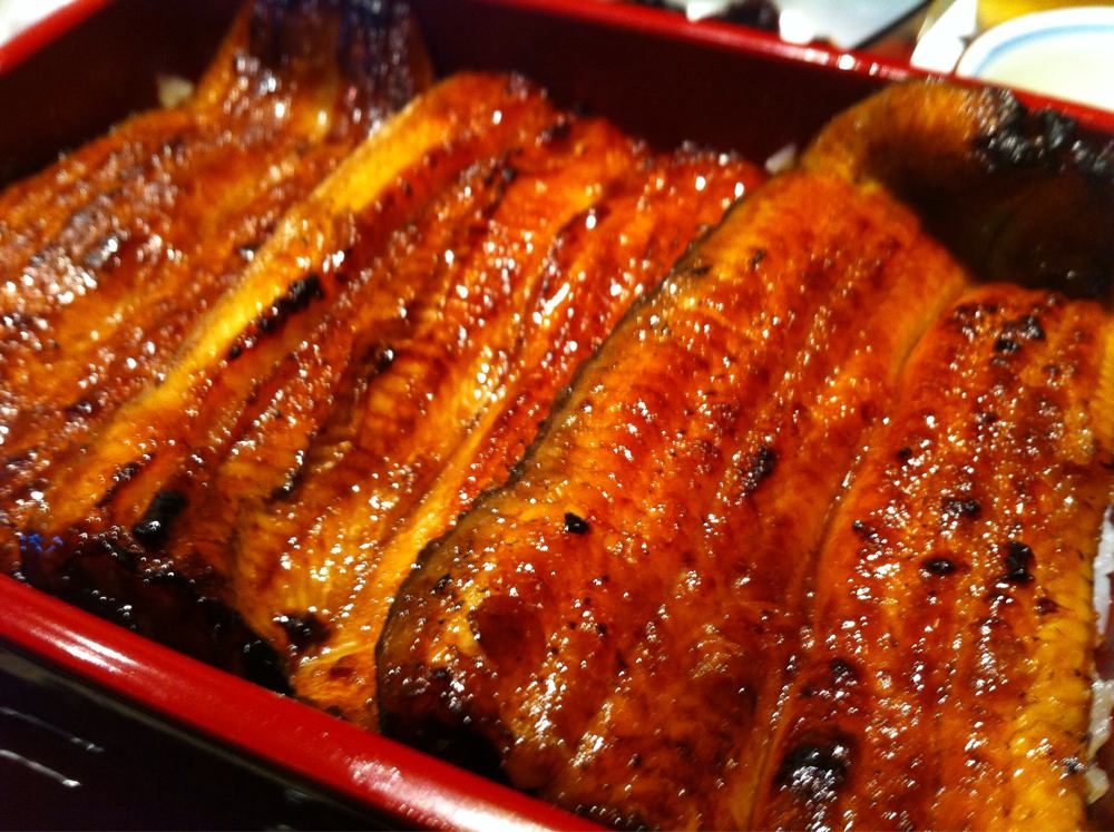 鰻重のどアップ2