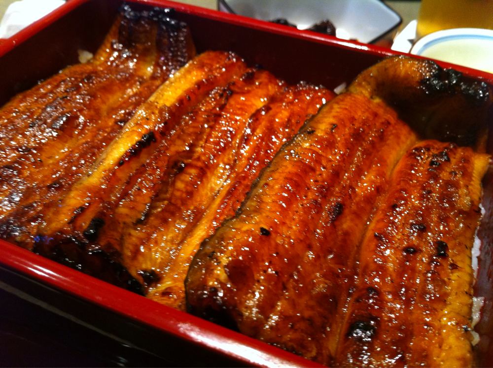 鰻重のどアップ