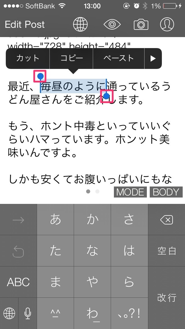 iOSでテキストを選択した状態