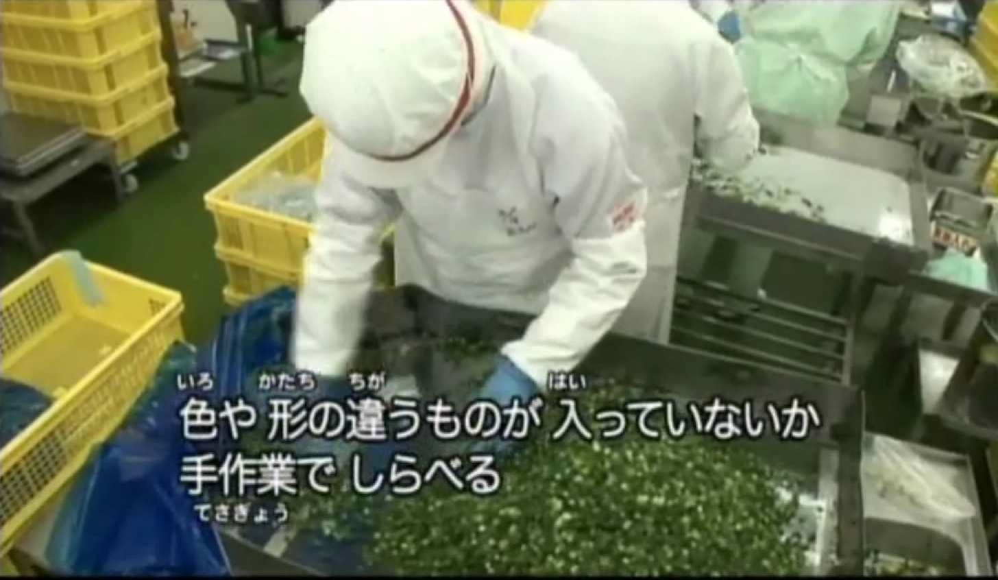 Auto chaohan making 23