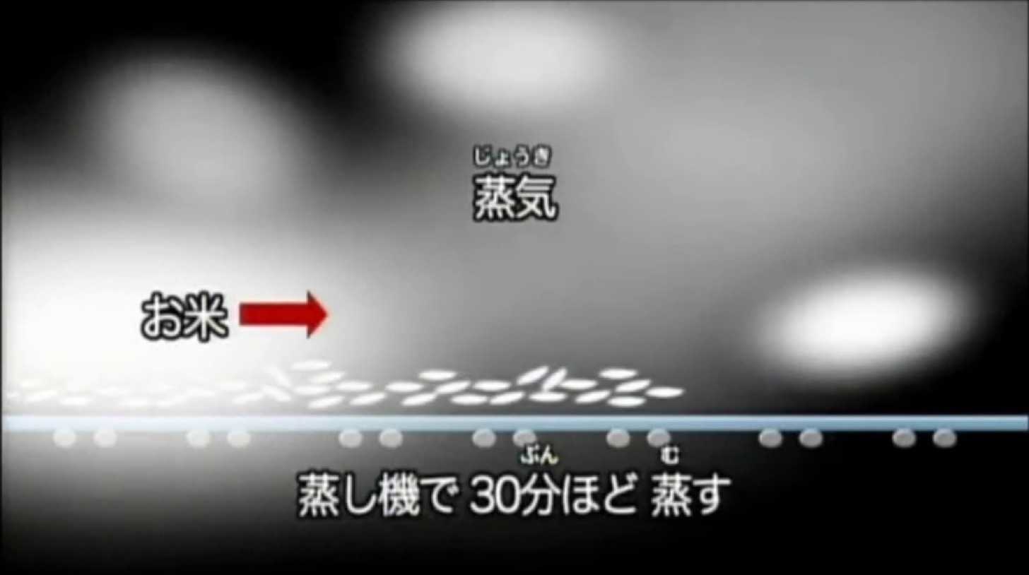 Auto chaohan making 25