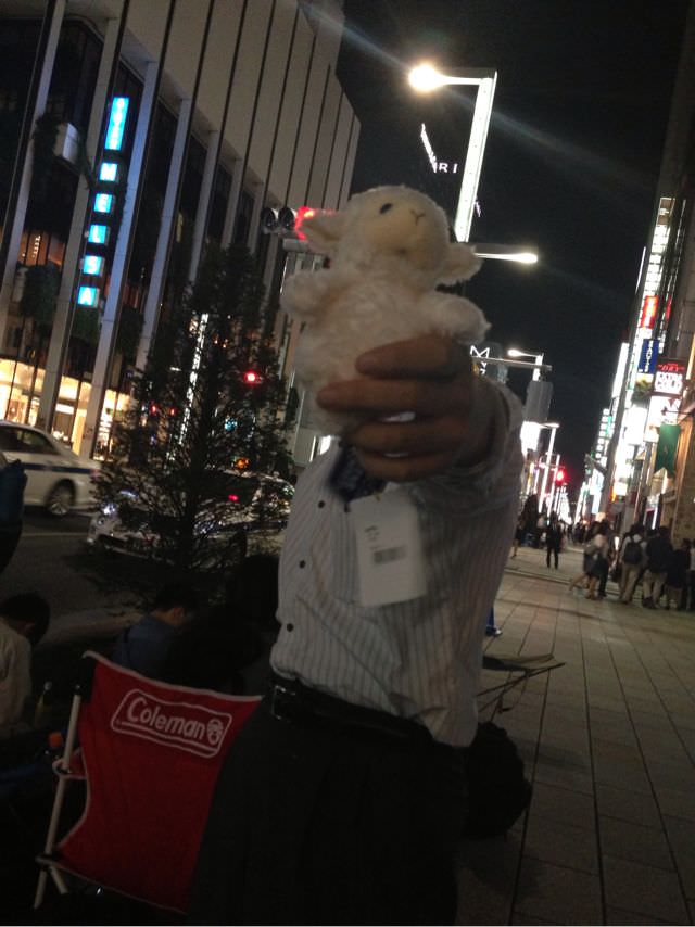 羊