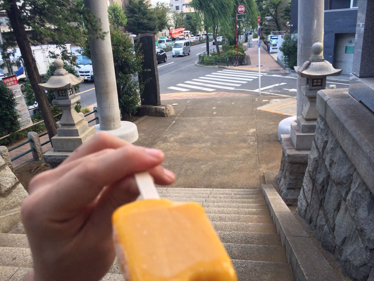 まるでマンゴーを冷凍したような食感のアイスバー