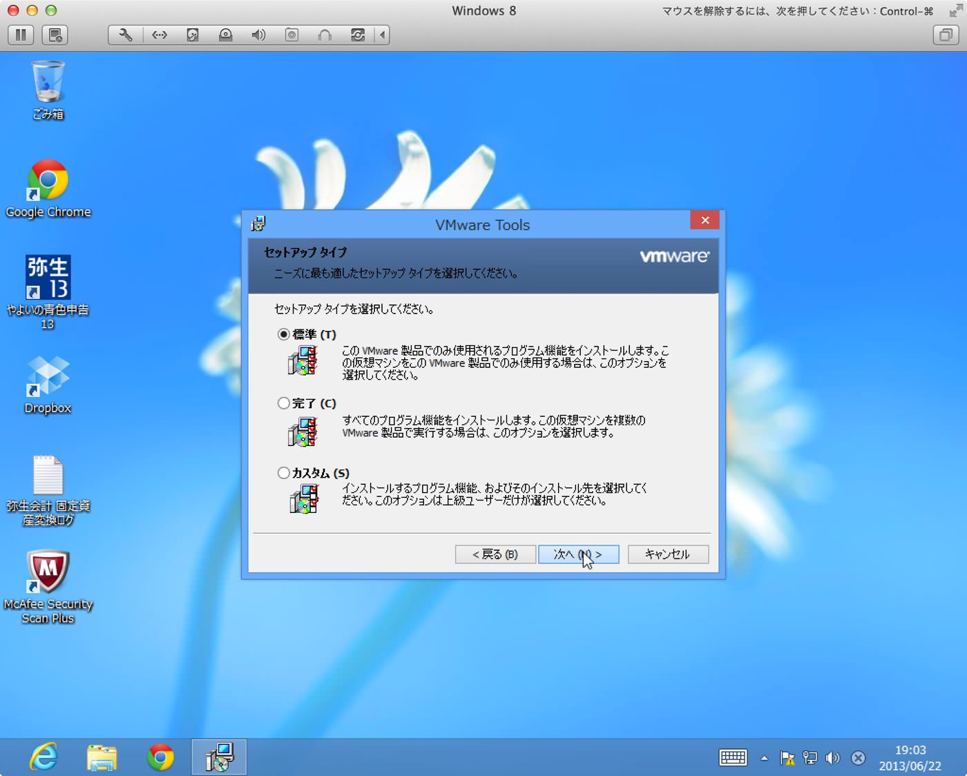 Vmware toolsセットアップ タイプ