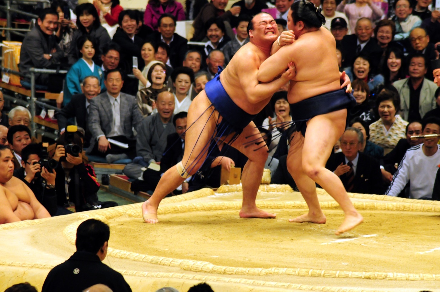 相撲(SUMOU)