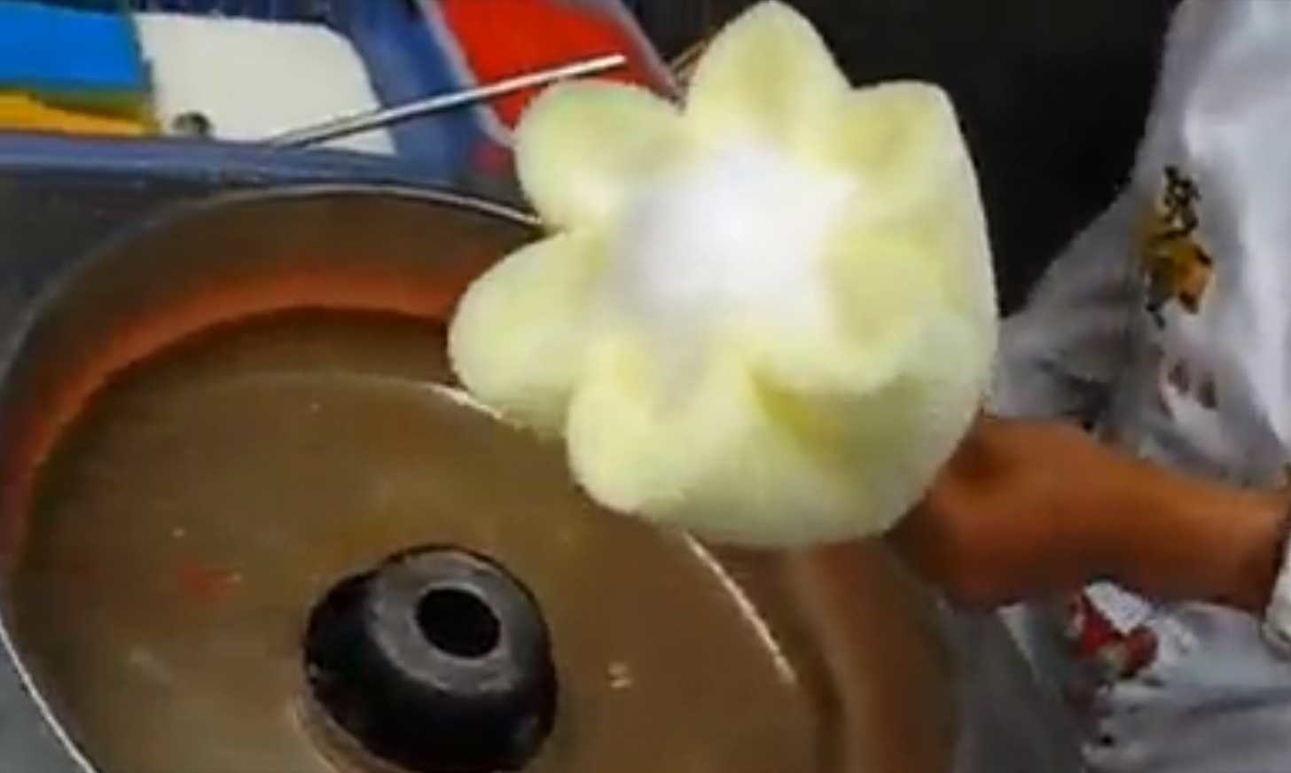 みごとな花弁！