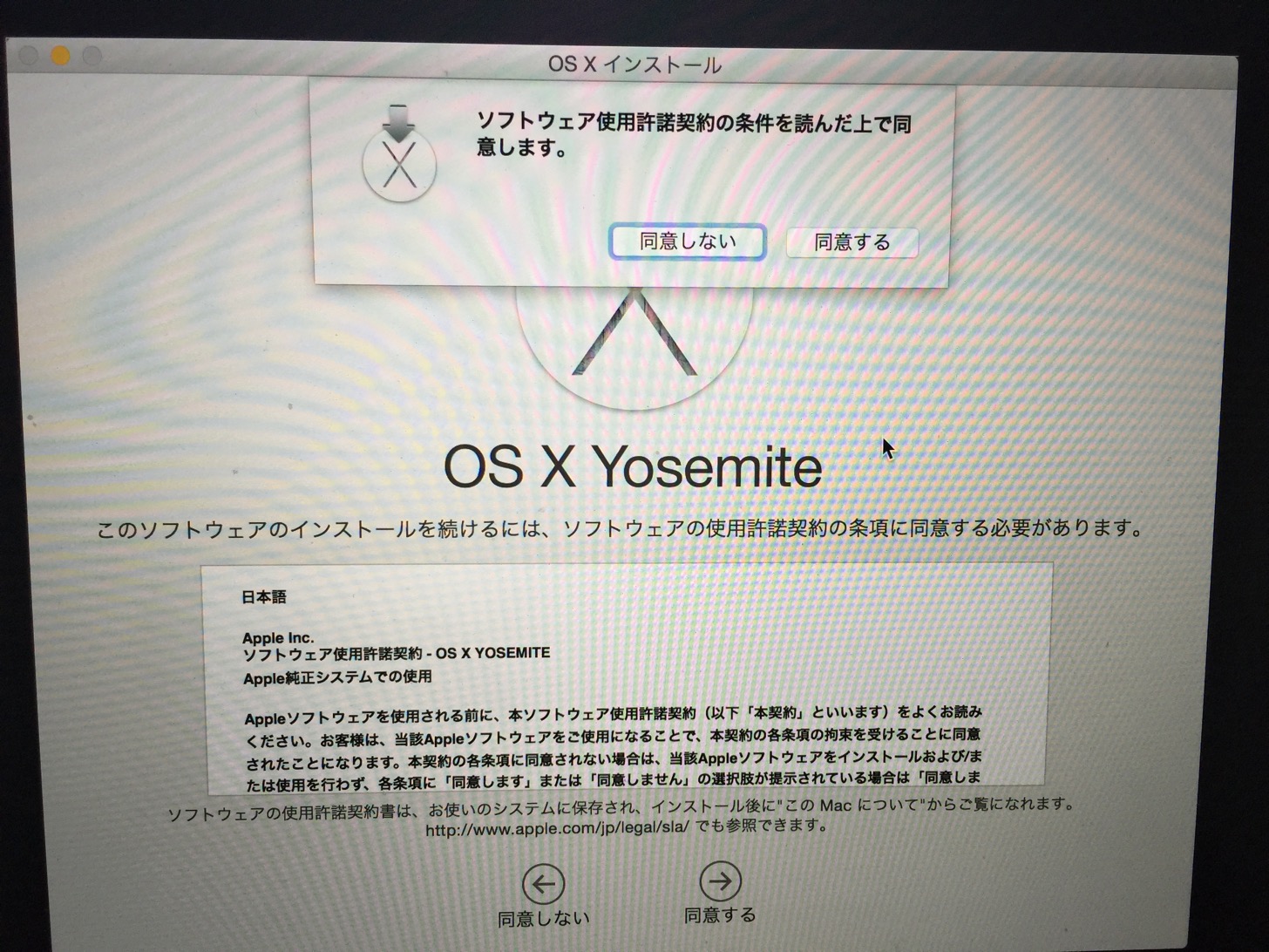 ソフトウェア使用許諾契約の条件を読んだ上で同意します。