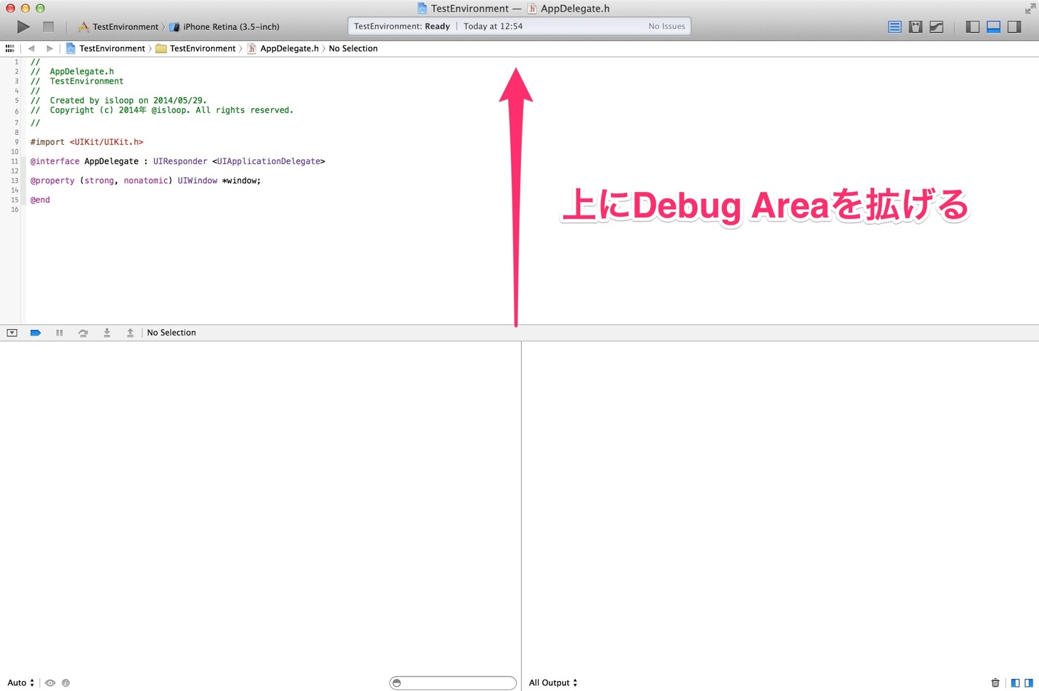 Debug Areaを上に拡げる