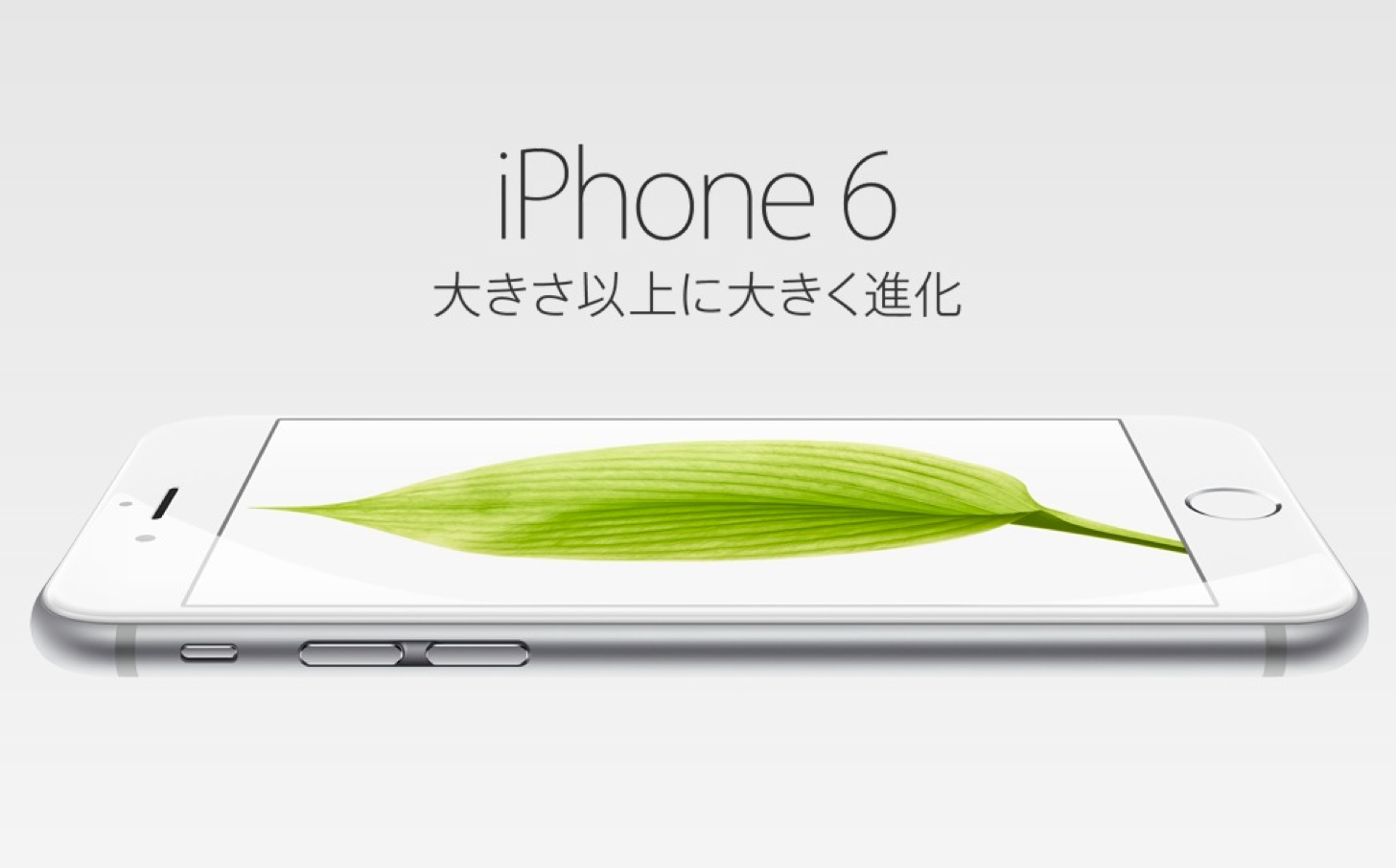 iPhone 6