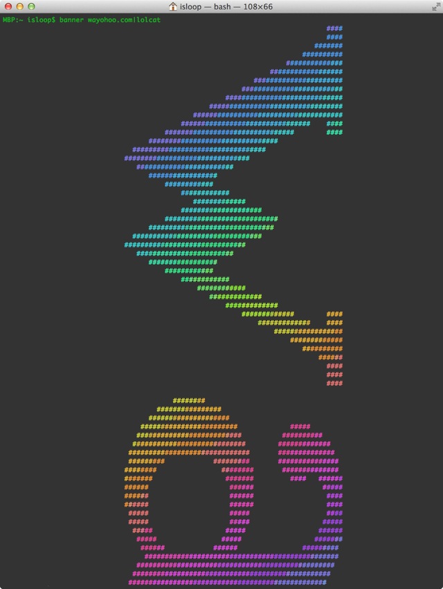Lolcat 7
