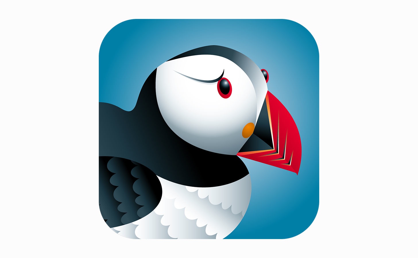 Puffin