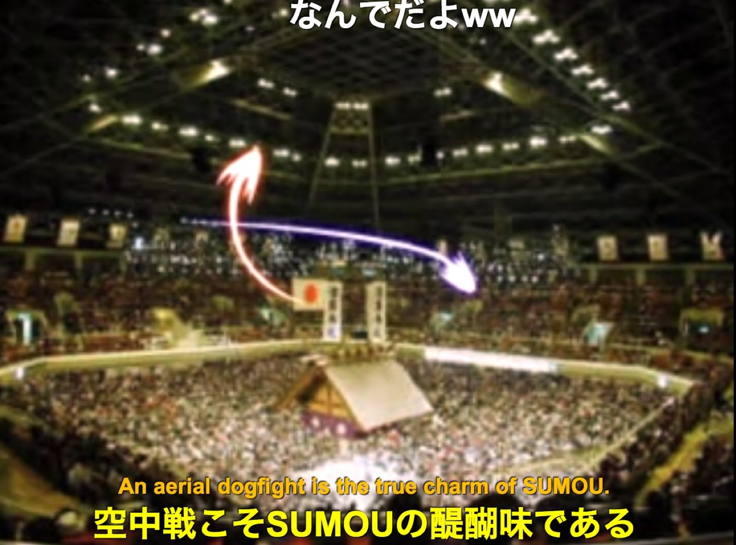 空中戦こそSUMOUの醍醐味である