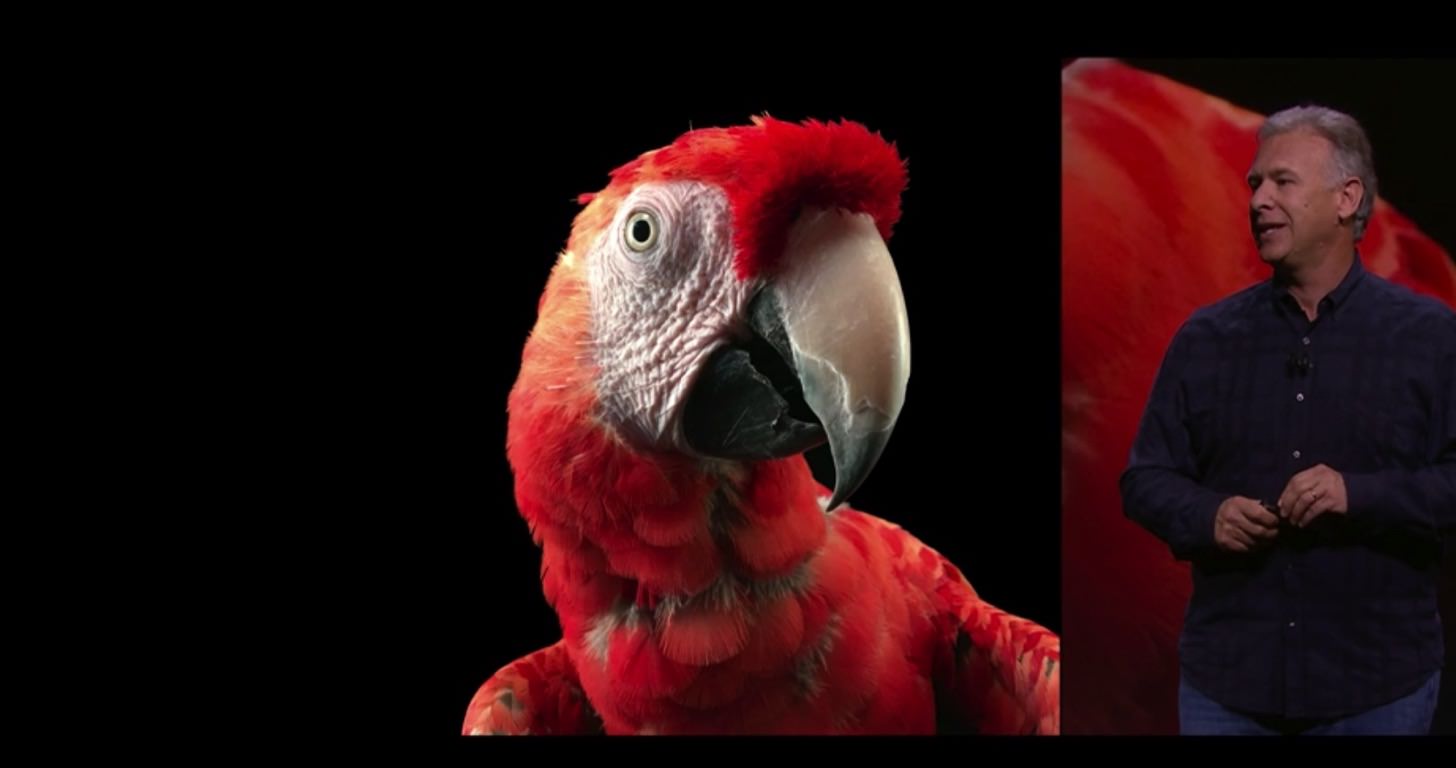 暗所でもiPhone 6sは綺麗に写真を撮ることが出来ます。