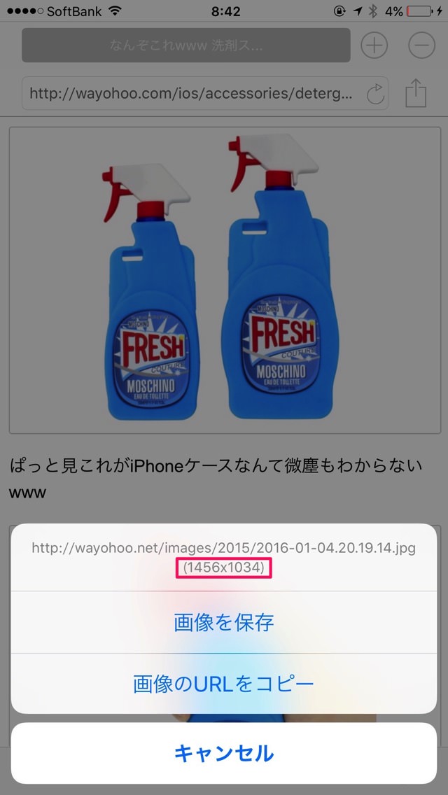 するぷろーらの画像サイズ表示機能。