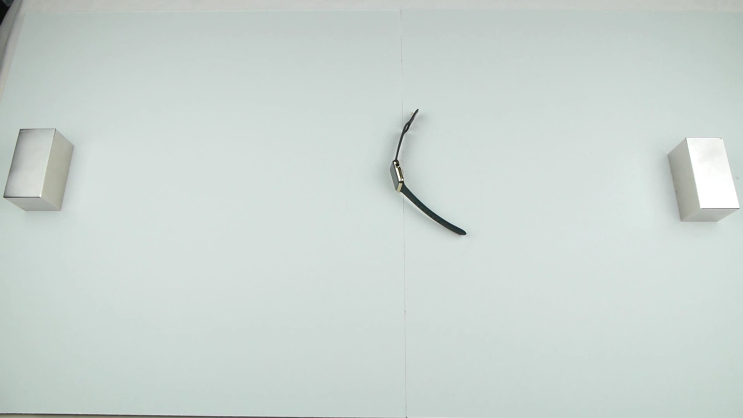磁石に取り囲まれるApple watch Edition