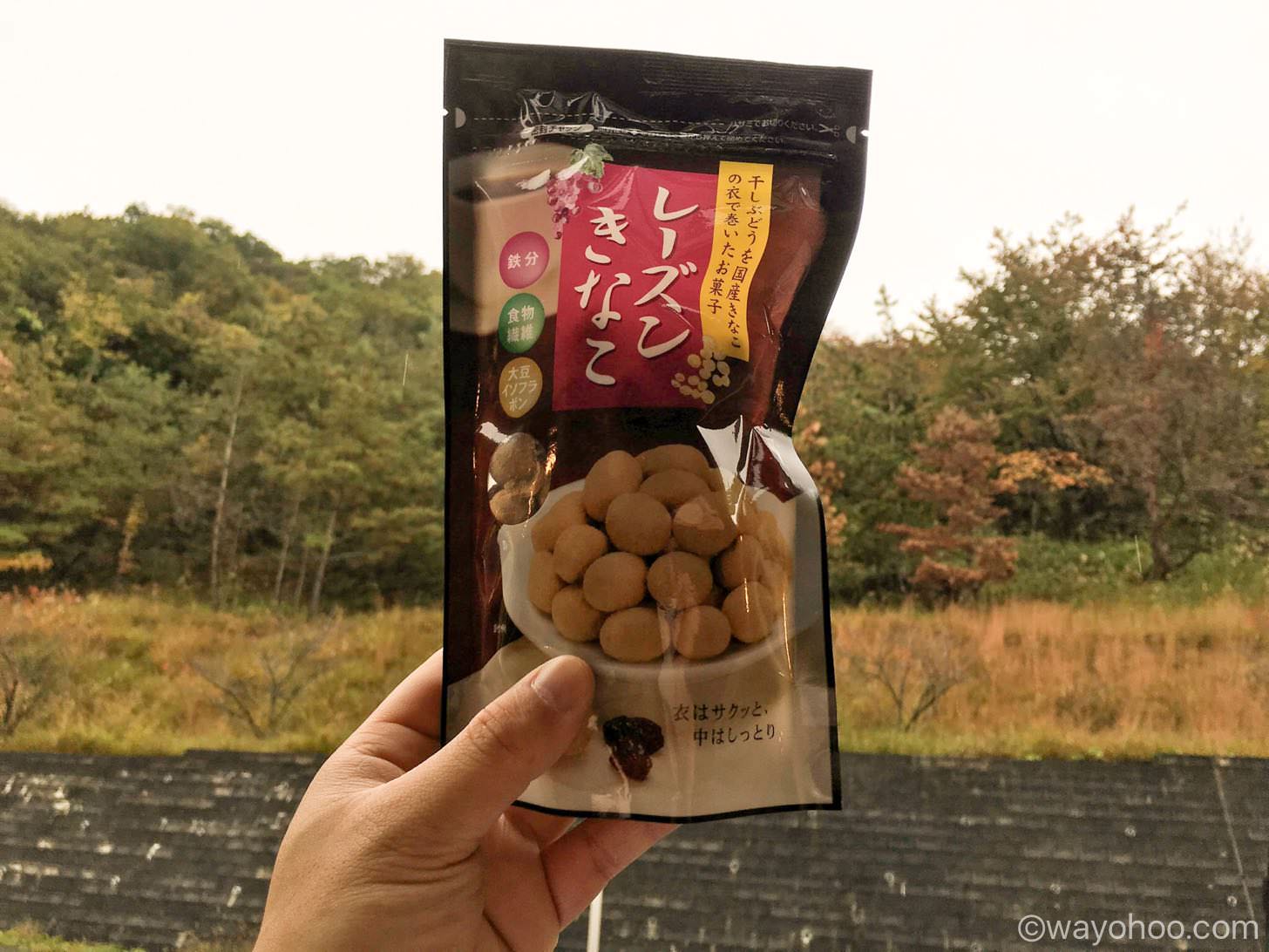 レーズンきなこ