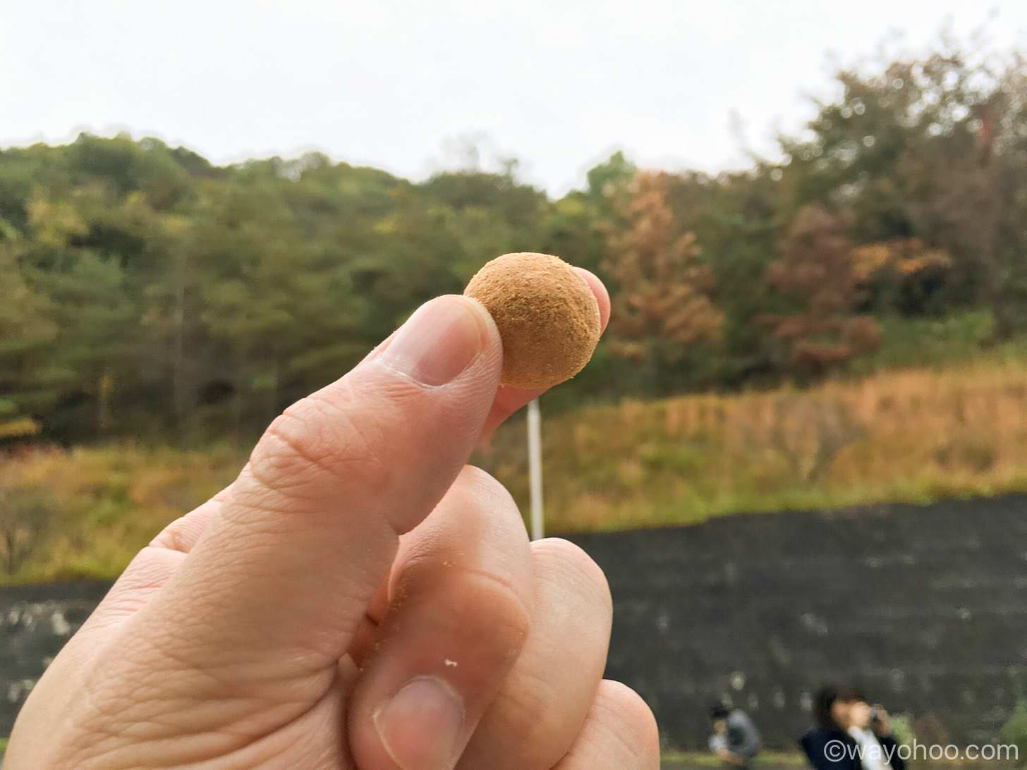 レーズンきなこ