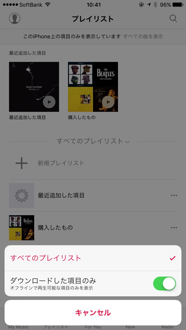 ダウンロードした項目のみ