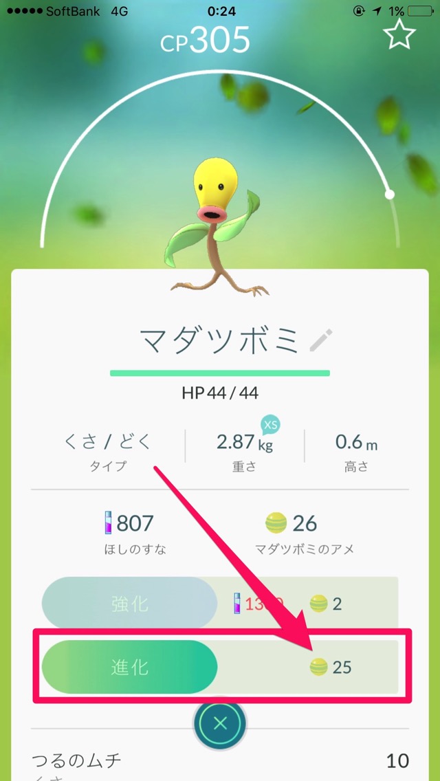 マダツボミ