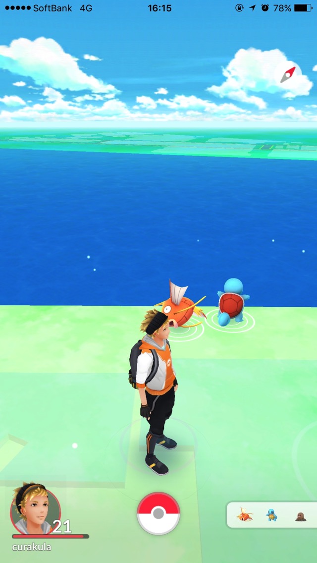 ゼニガメ。