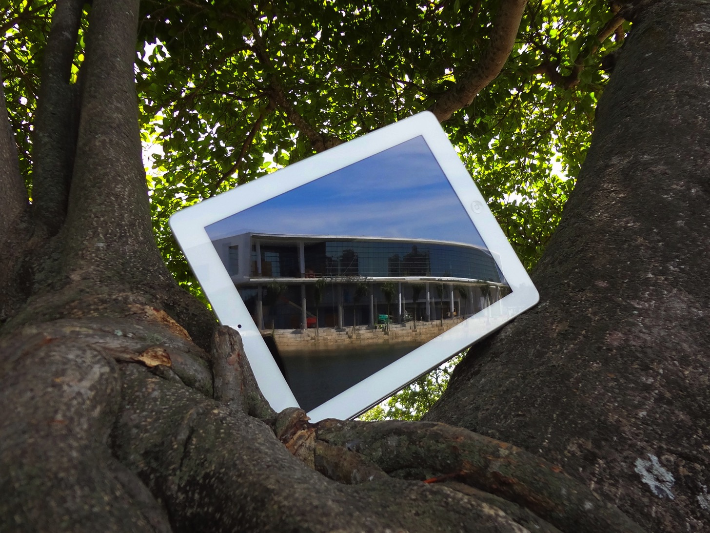 iPad