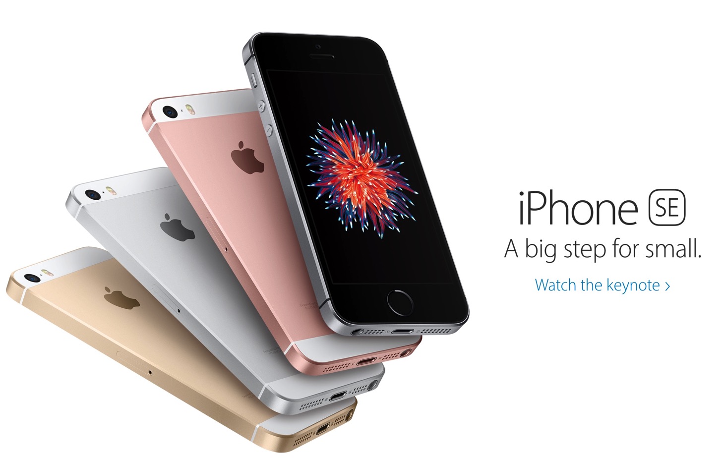 iPhone SE