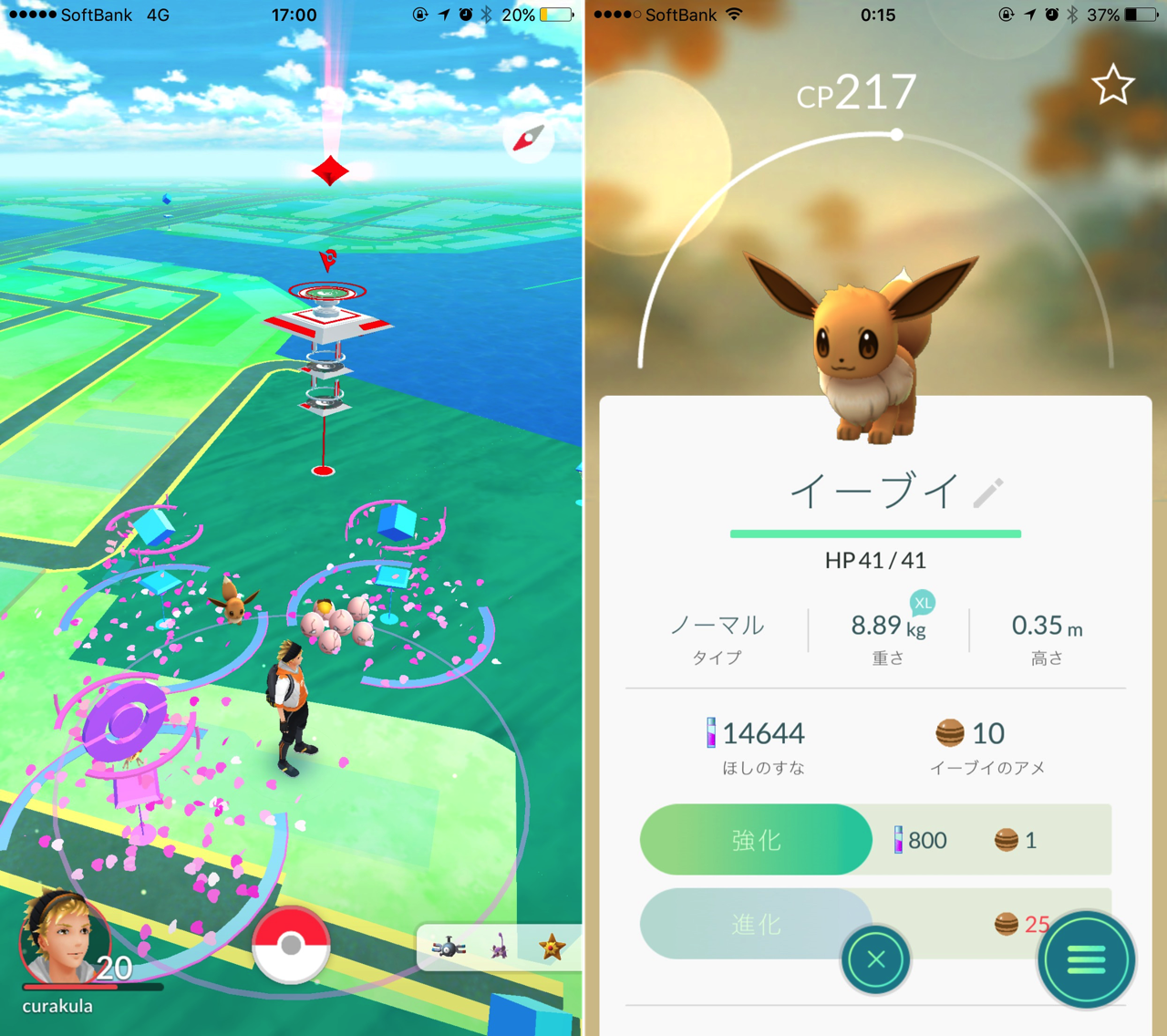 Eeviee oomori fursusato park
