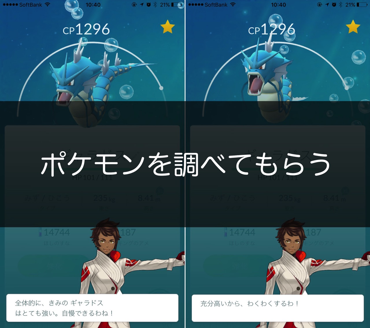 ポケモンを調べてもらう