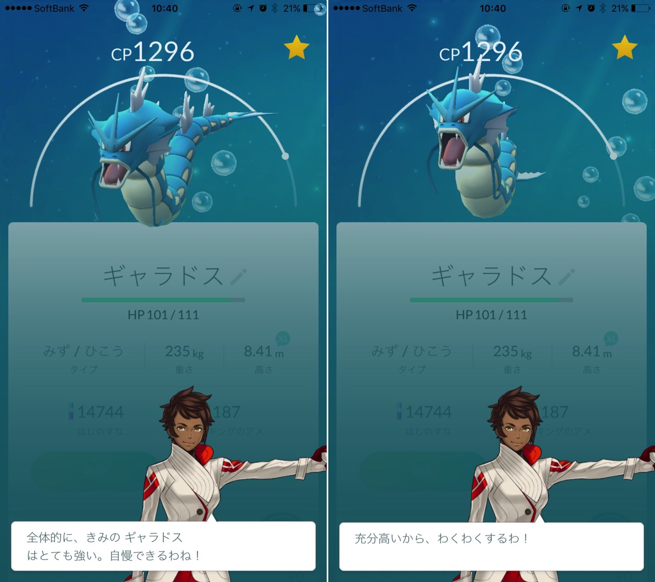 ポケモンを調べてもらう
