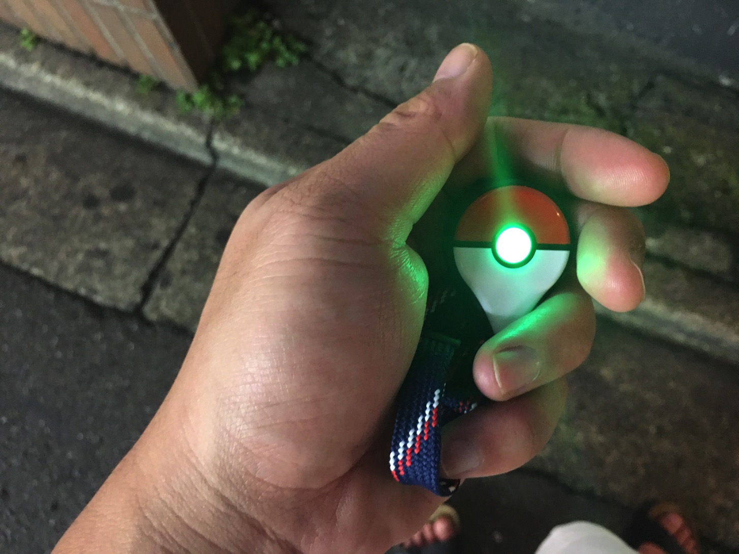 Pokémon GO Plusの光