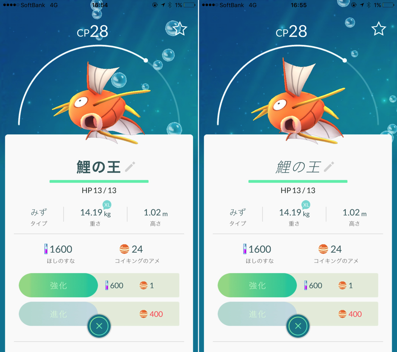 ポケモンGOのニックネームには一部HTMLが使える。