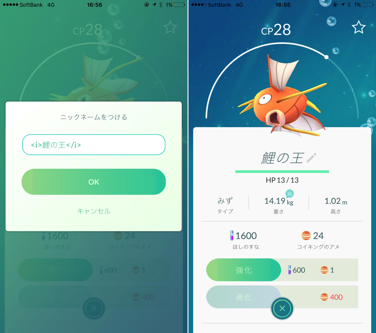 ポケモンGOのニックネームを斜体に