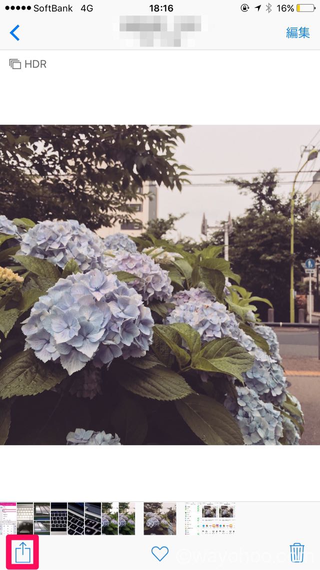 写真アプリ