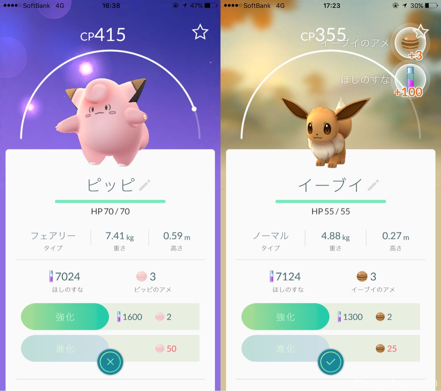 ピッピとイーブイ