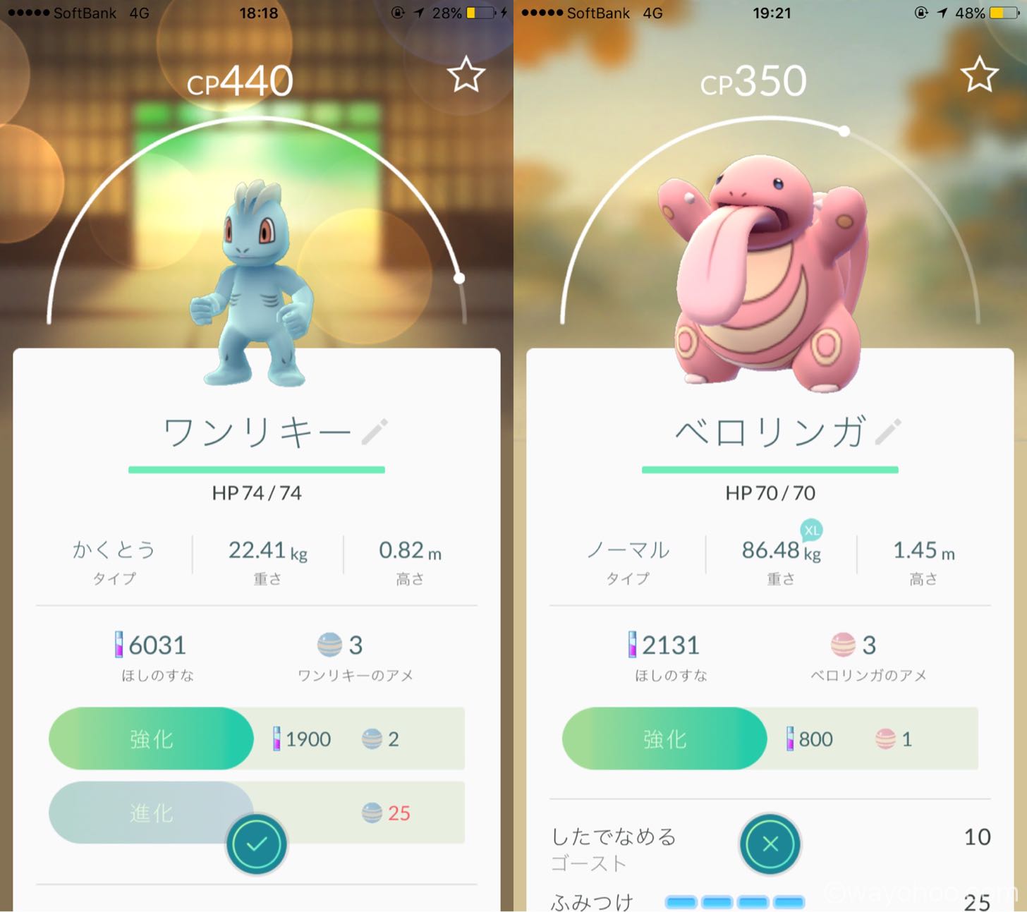 ワンリキーとベロリンガ