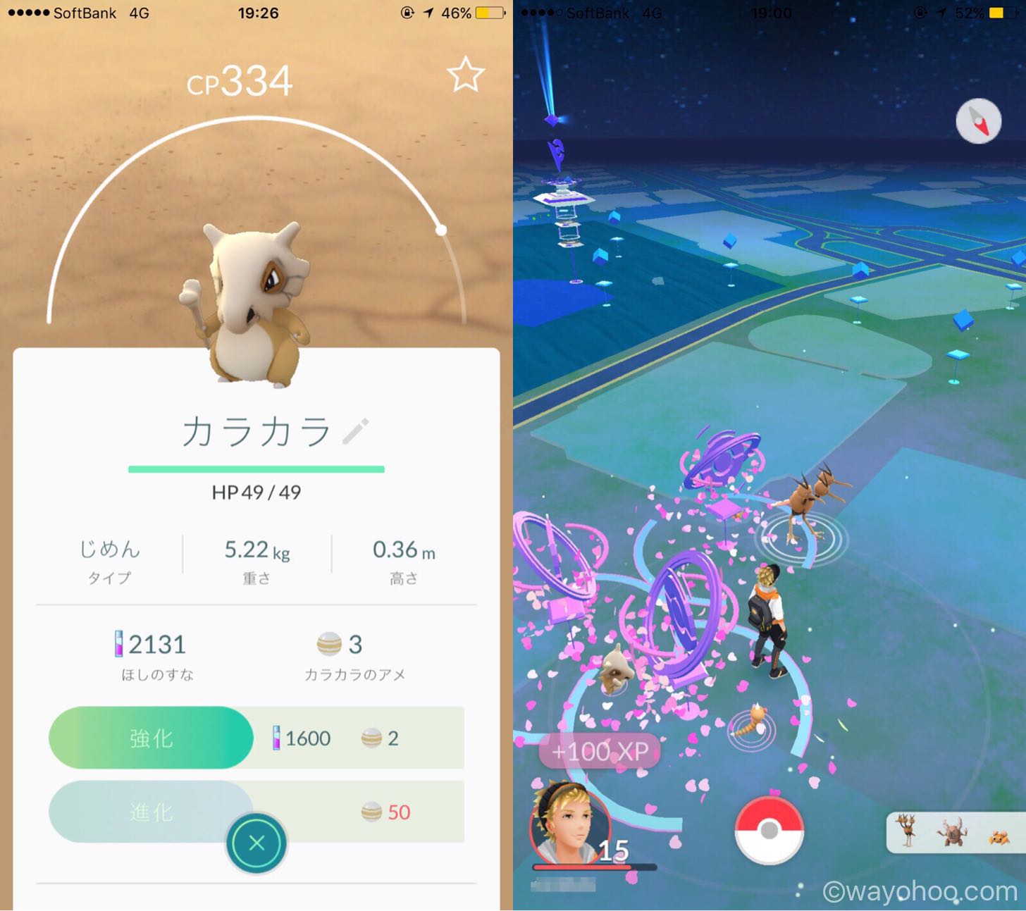 カラカラのサンリオピューロランド付近の生息地