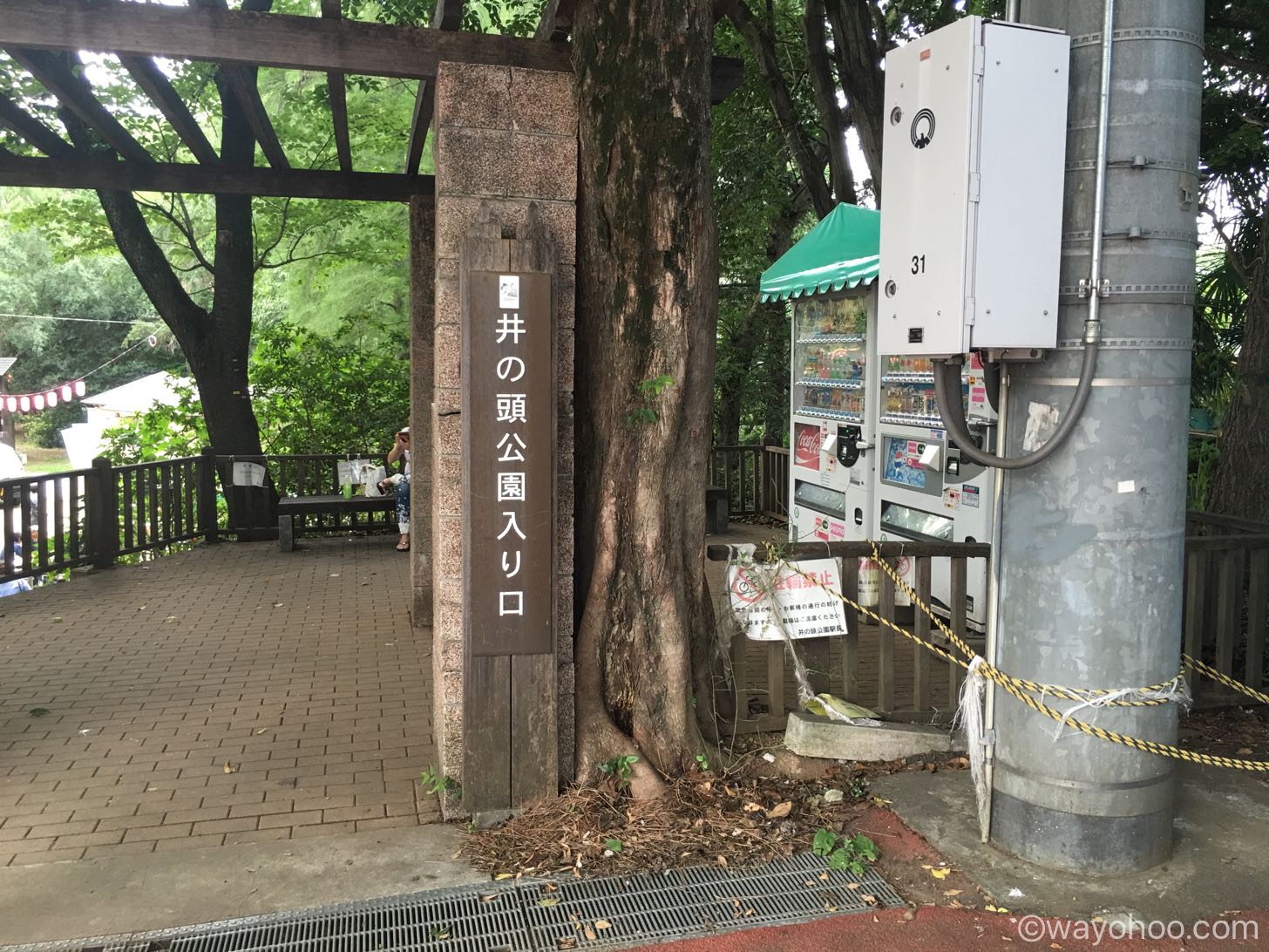 エビワラーが大量発生すると有名な井の頭公園