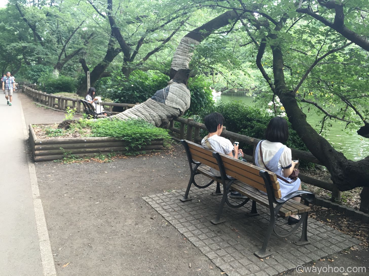 井の頭公園のベンチ