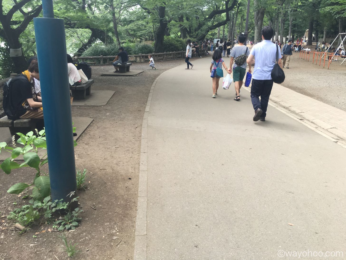 井の頭公園のポケモントレーナーの人々