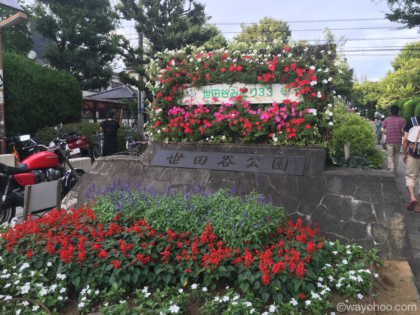 レアポケモン、ミニリュウがよく出現する世田谷公園