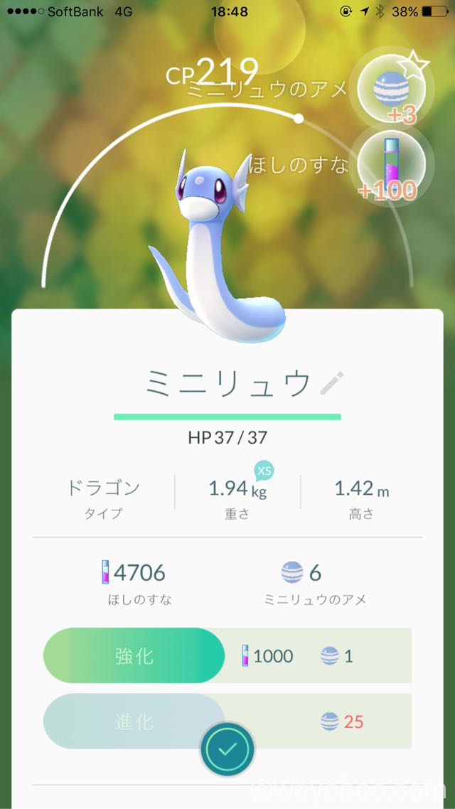 ミニリュウをゲット