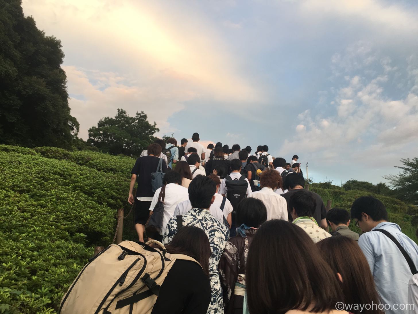 世田谷公園の人の流れ