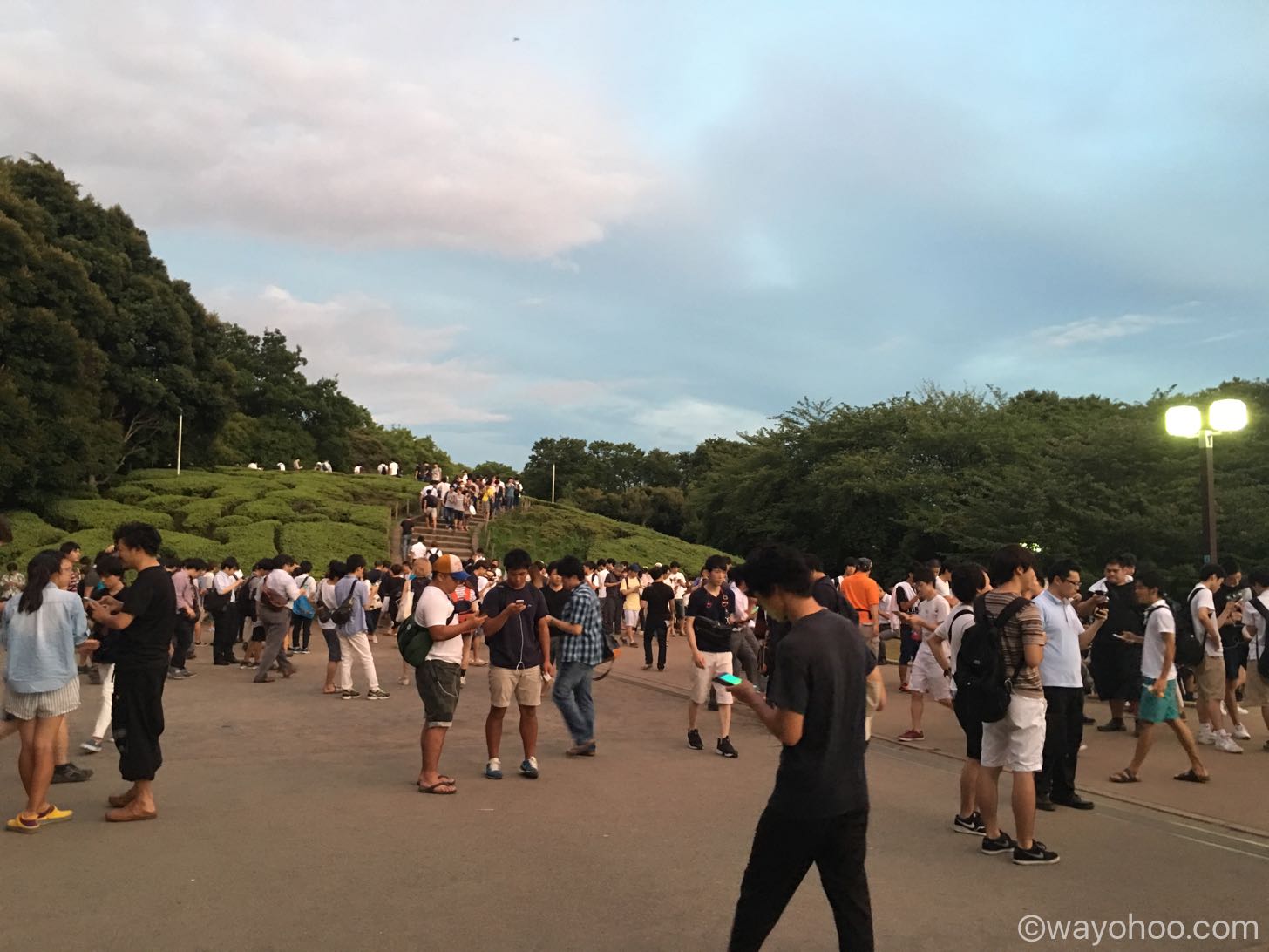 世田谷公園