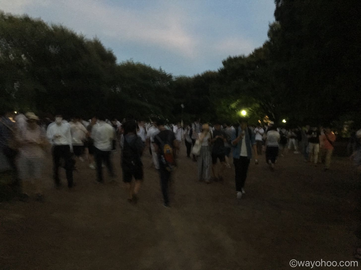 世田谷公園の夜