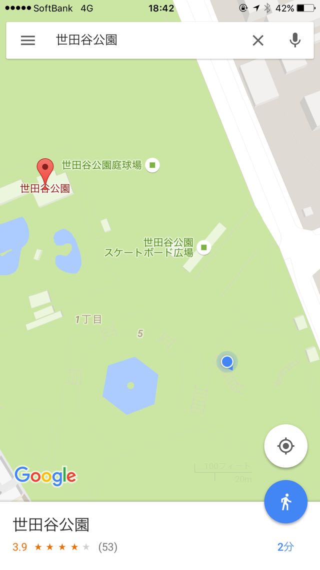 世田谷公園でミニリュウがよく出る場所